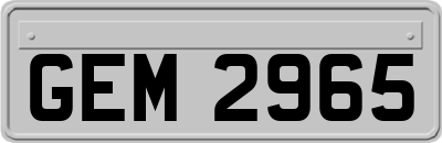 GEM2965