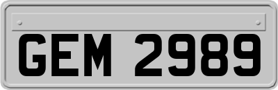 GEM2989