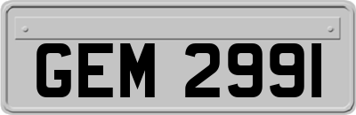 GEM2991