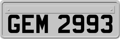 GEM2993