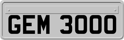 GEM3000