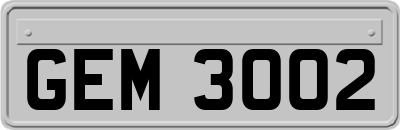 GEM3002