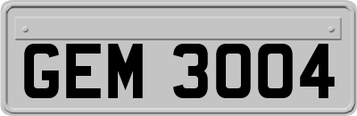 GEM3004