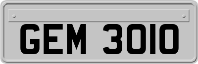 GEM3010
