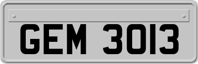 GEM3013