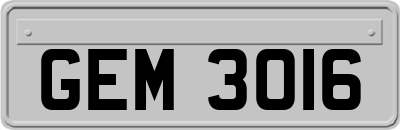 GEM3016