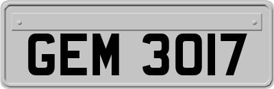GEM3017