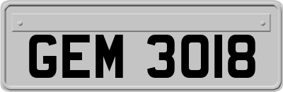 GEM3018