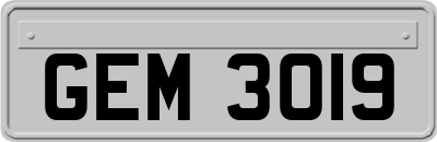 GEM3019