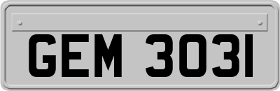 GEM3031
