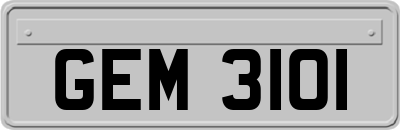 GEM3101