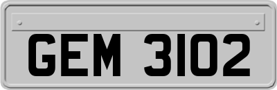 GEM3102