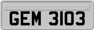 GEM3103