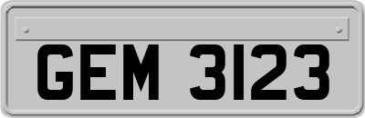 GEM3123