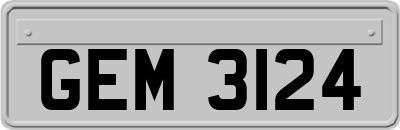 GEM3124