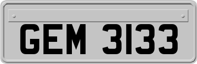 GEM3133
