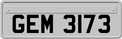 GEM3173