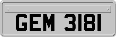 GEM3181