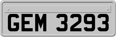 GEM3293