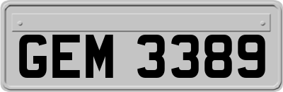 GEM3389