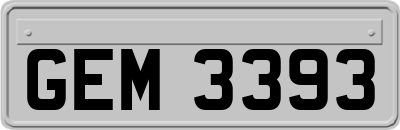 GEM3393