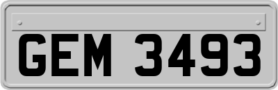 GEM3493
