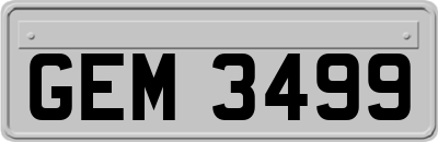GEM3499