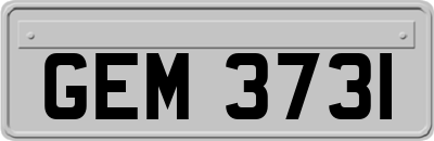GEM3731