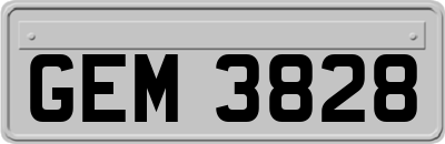 GEM3828