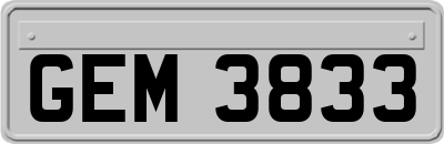 GEM3833