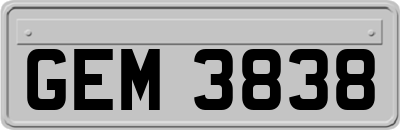 GEM3838