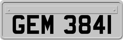 GEM3841