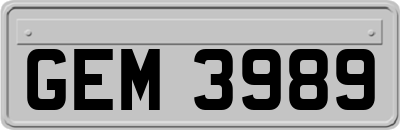 GEM3989