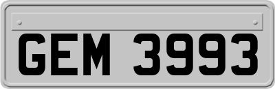 GEM3993