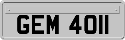 GEM4011