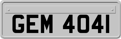 GEM4041