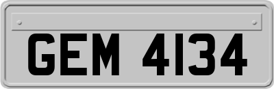 GEM4134