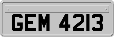 GEM4213