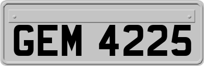 GEM4225