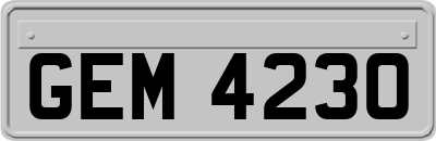 GEM4230