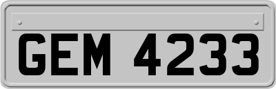 GEM4233