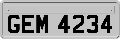 GEM4234