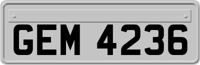 GEM4236