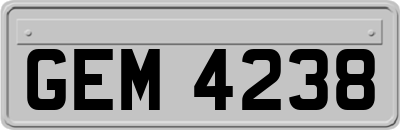 GEM4238