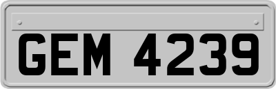 GEM4239