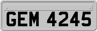 GEM4245