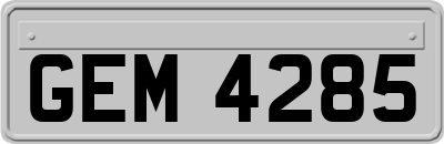 GEM4285
