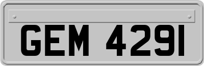 GEM4291