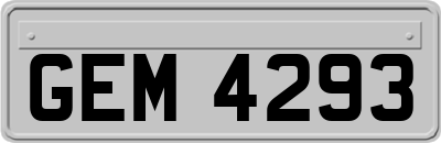 GEM4293