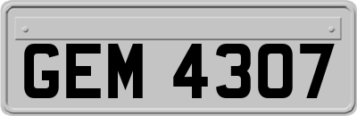 GEM4307